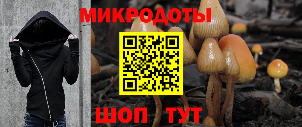 Междуреченск  Галлюциногенные грибы Psilocybe  Псилоцибиновые грибы прущие грибы  Вход с VPN 